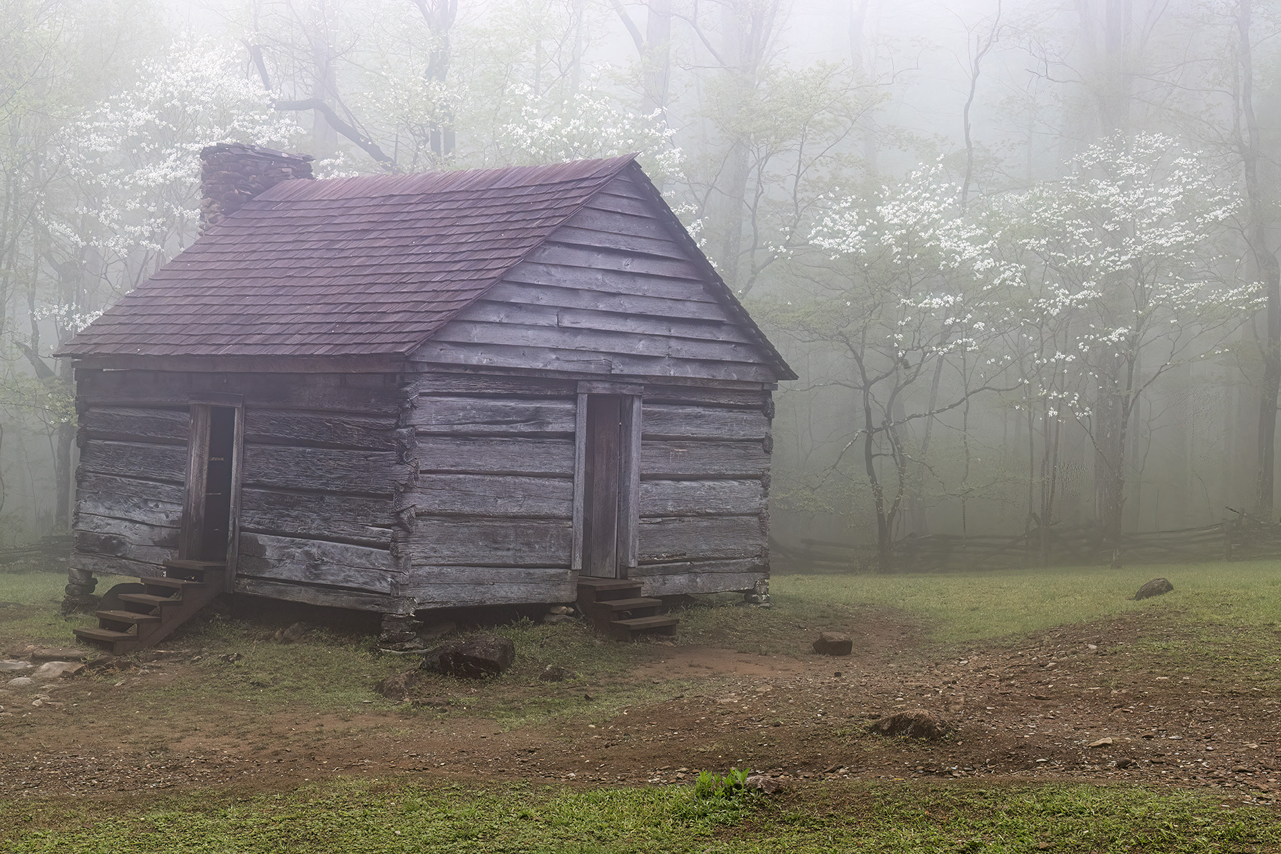 Foggy Cabin with Dogwoods