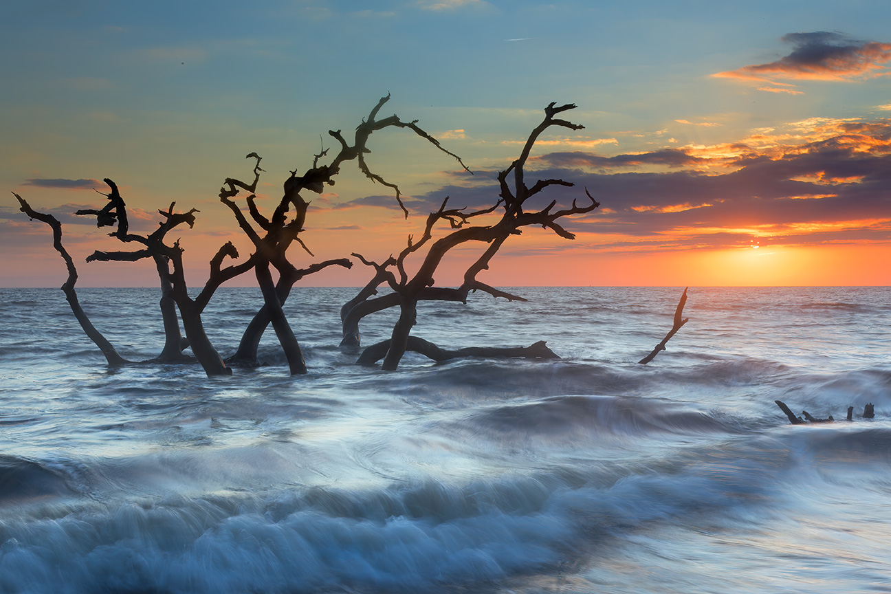 Reclaimed by the Ocean